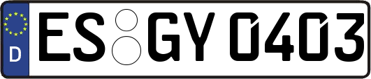 ES-GY0403