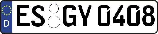 ES-GY0408