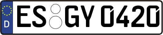 ES-GY0420