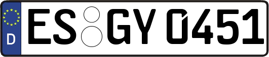ES-GY0451