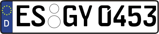 ES-GY0453
