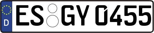 ES-GY0455
