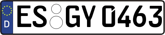 ES-GY0463