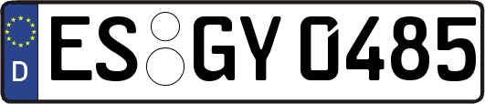 ES-GY0485