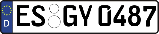 ES-GY0487