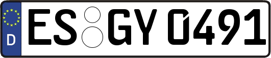 ES-GY0491