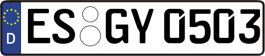 ES-GY0503