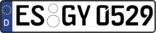 ES-GY0529