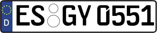ES-GY0551