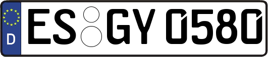 ES-GY0580