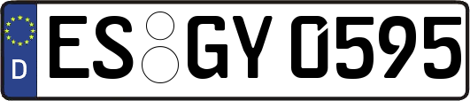 ES-GY0595