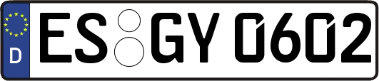 ES-GY0602