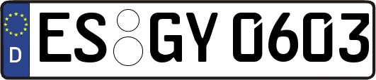 ES-GY0603