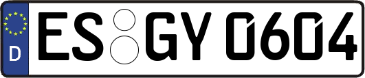 ES-GY0604