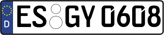 ES-GY0608