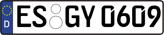 ES-GY0609