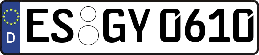 ES-GY0610