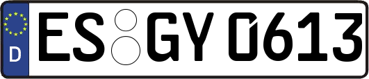 ES-GY0613