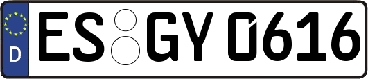 ES-GY0616