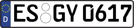 ES-GY0617