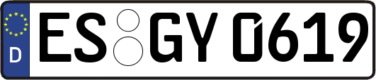 ES-GY0619