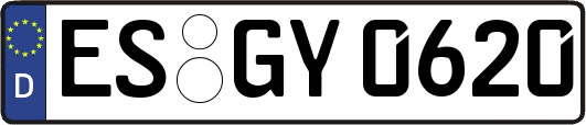 ES-GY0620