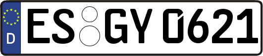 ES-GY0621
