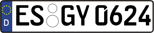ES-GY0624