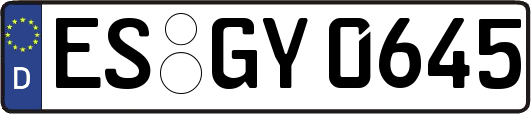 ES-GY0645
