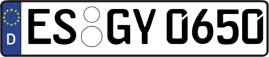 ES-GY0650