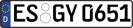ES-GY0651
