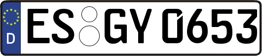 ES-GY0653