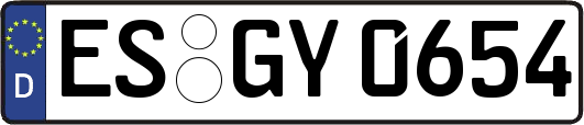 ES-GY0654