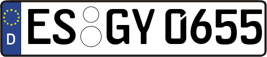 ES-GY0655