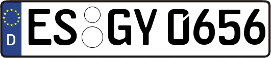 ES-GY0656