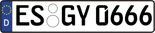 ES-GY0666