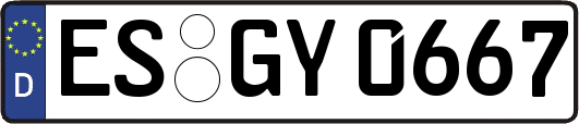 ES-GY0667