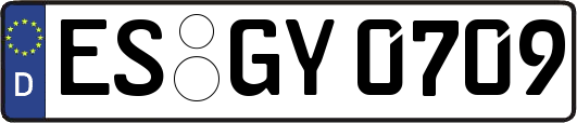 ES-GY0709