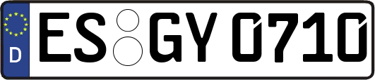 ES-GY0710