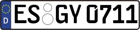 ES-GY0711