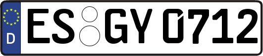 ES-GY0712