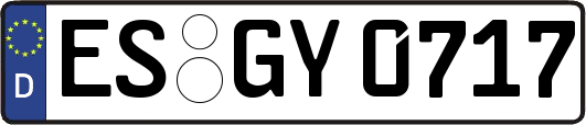 ES-GY0717