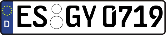 ES-GY0719