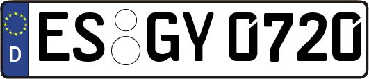 ES-GY0720