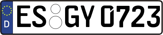 ES-GY0723