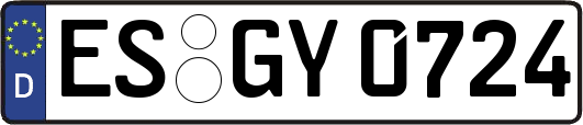 ES-GY0724