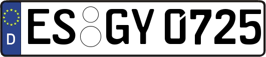 ES-GY0725