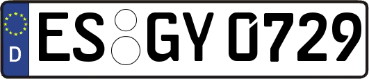 ES-GY0729