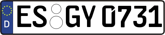 ES-GY0731