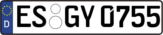 ES-GY0755